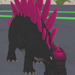 Steggo (Breeder)
